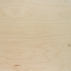 Birch door frame finish